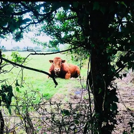 山林小屋 The Shepherd's Nest