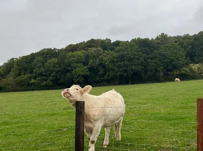 بيت خشبي The Shepherd's Nest بريستول