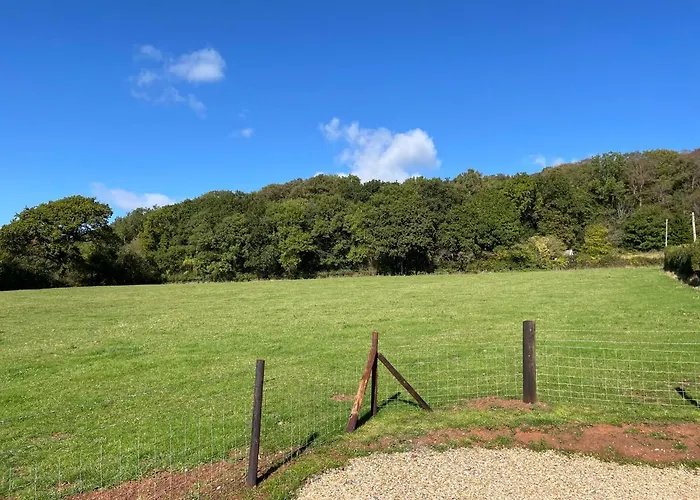 The Shepherd's Nest * 布里斯托