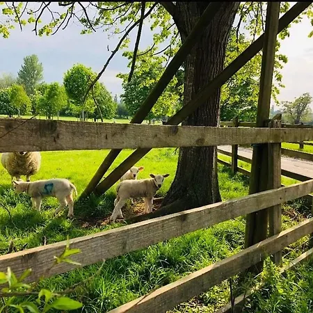 The Shepherd's Nest